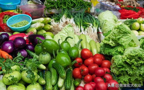 加快建設全國統一大市場，蔬菜存儲需注意什么？——解讀釋放的關鍵信號